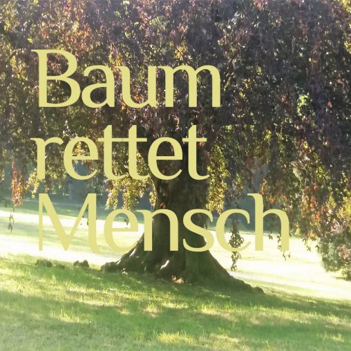 Baum rettet Mensch