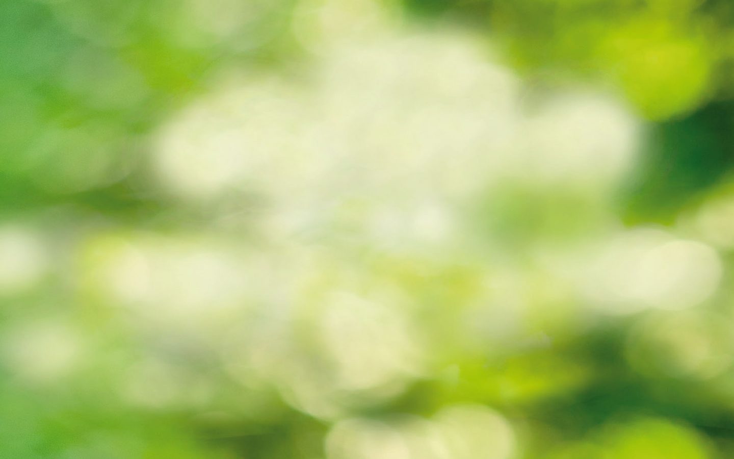 cropped-WS-Bild-Header-gruen-higru